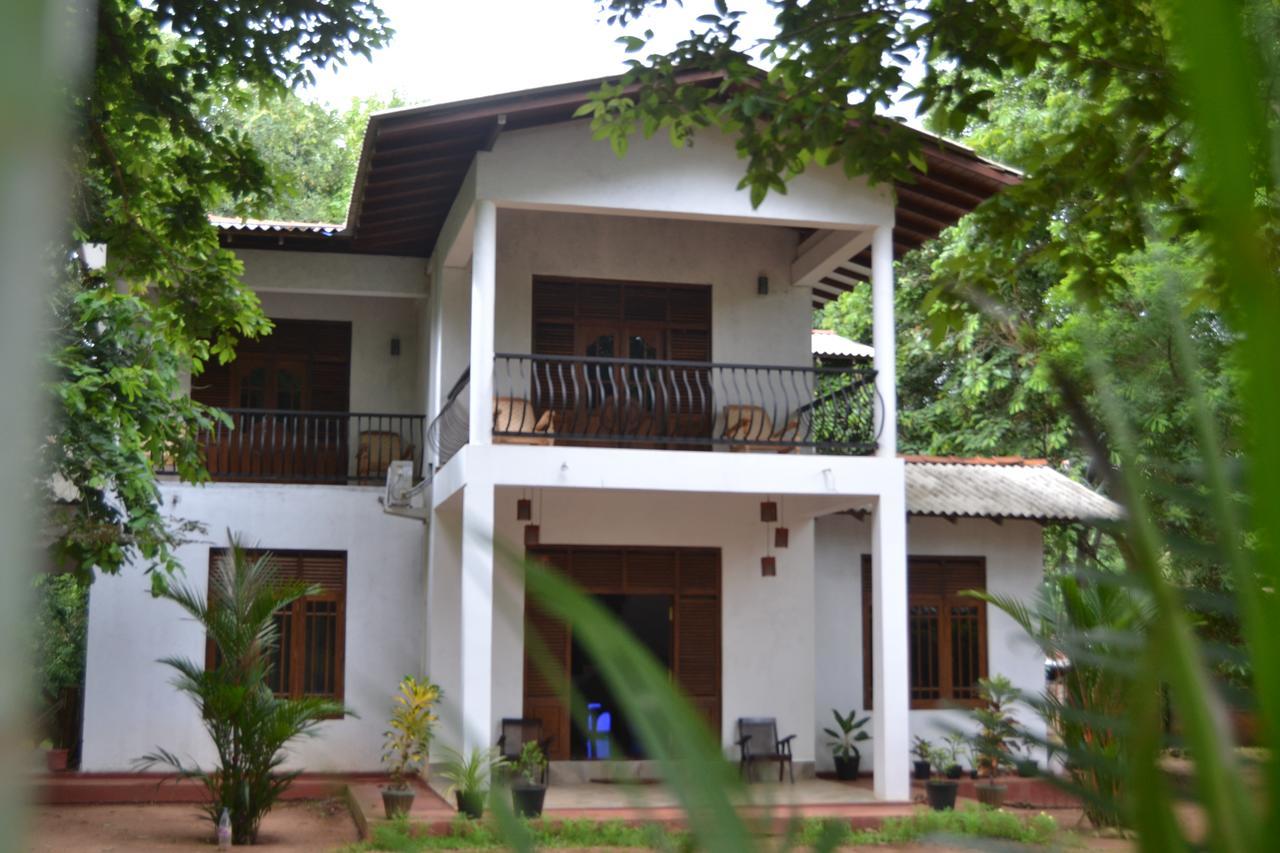 Nice To Meet Home Stay Habarana Exteriör bild